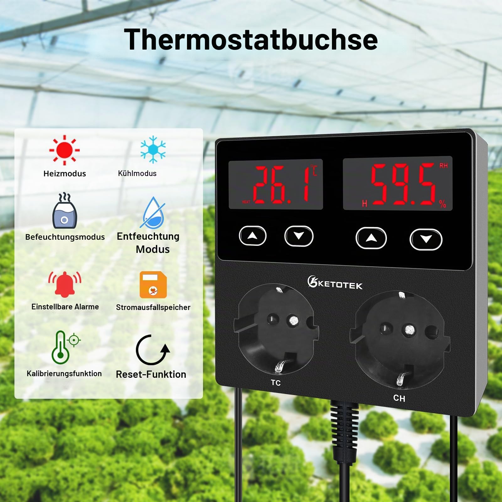 KETOTEK Thermostat Hygrostat Steckdose Digital, Temperaturregler Feuchtigkeitregler Steckdose mit 2 Fühler 230V, Temperatur Feuchtigkeit Regler für Gewächshaus Pilz Terrarium