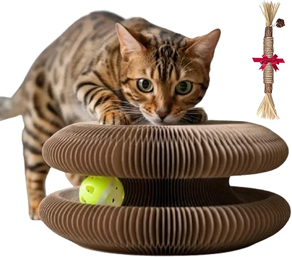 Twisty Paws Cat Toy, Elvessa Cat Toy, Magic Organ Kitty Scratching Board, Reversible Infinity Interactive Cats Cardboard Kitten Scratcher Pads for Indoor Cats (1pc)