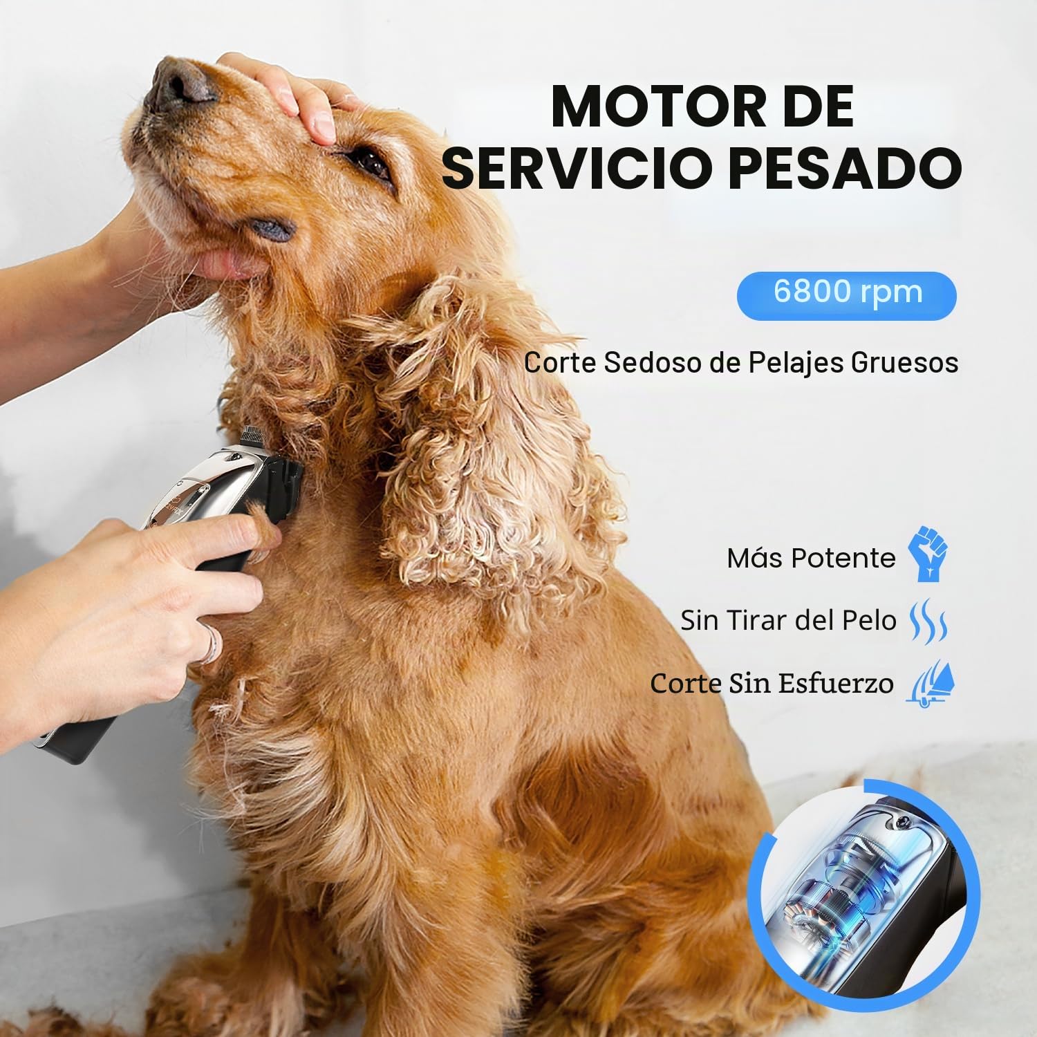 Maquina Cortar Pelo Perros, Cortapelos para Perros con Cuchillas de Cerámica, Inalámbrico Máquina de Cortar Pelo Perro, Apta para Largo y Pelo Grueso,Plata