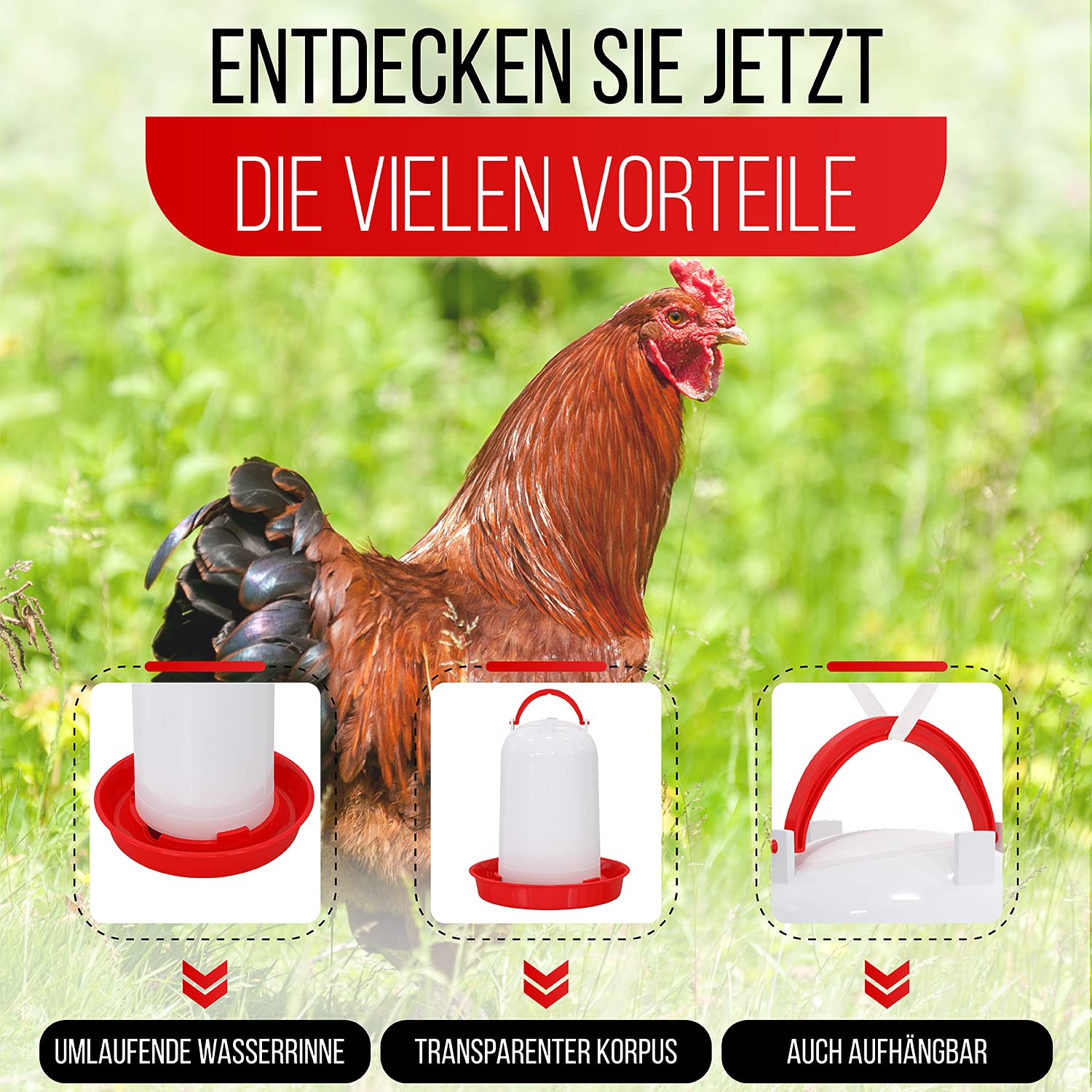 Hühnertränke 1,5, 3 oder 5 ltr. rot I Beheizbare Geflügeltränke für Hühner I Aufhängbarer Wasserspender I Automatische Wassertränke, Tränke, Hühnerzubehör I Geflügel Zubehör (Rot, 3 Liter)