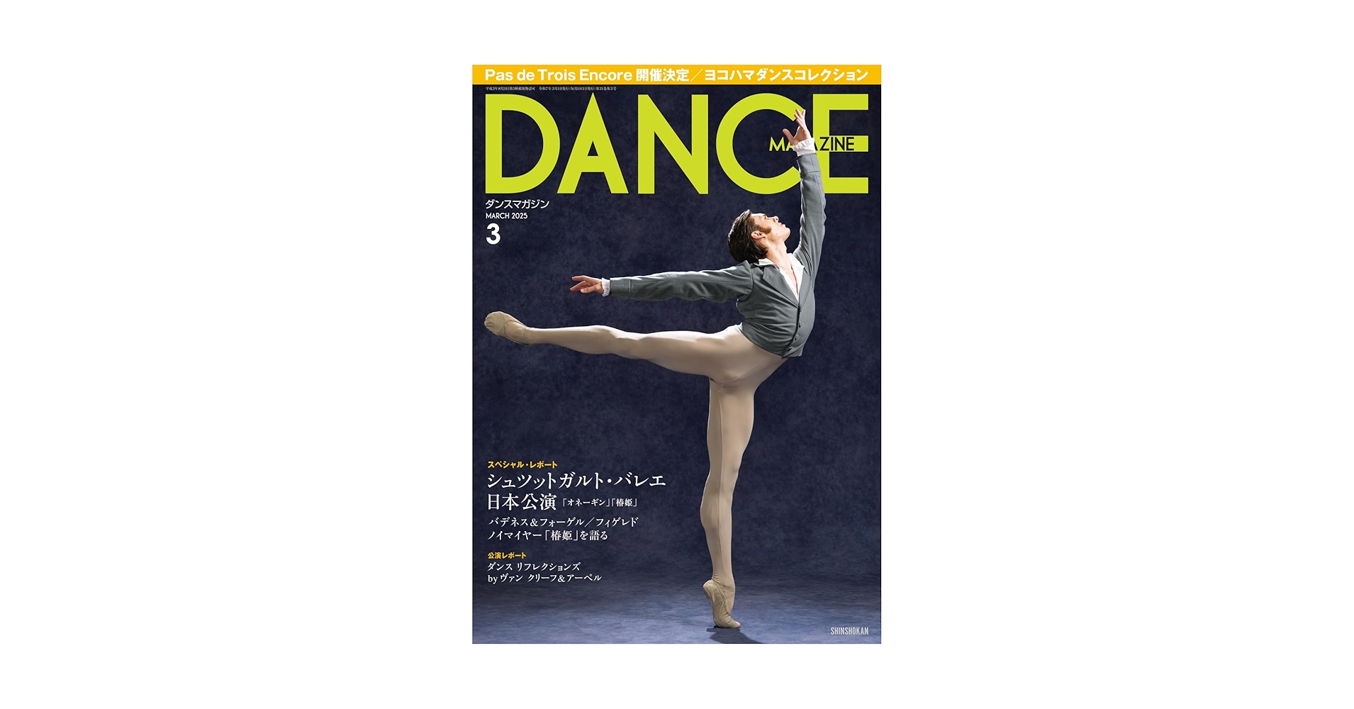 ■貴重/バレイ好き必見『DANCE MAGAZINE/ダンスマガジン』 米国版■ □貴重/バレイ好き必見『DANCE MAGAZINE/ダンスマガジン』24冊