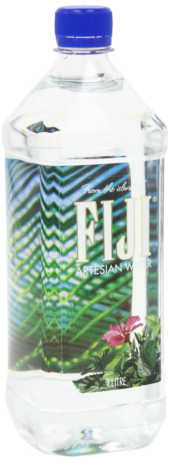 Fiji Natural Artesian Borraccia 1 L (confezione da 6)