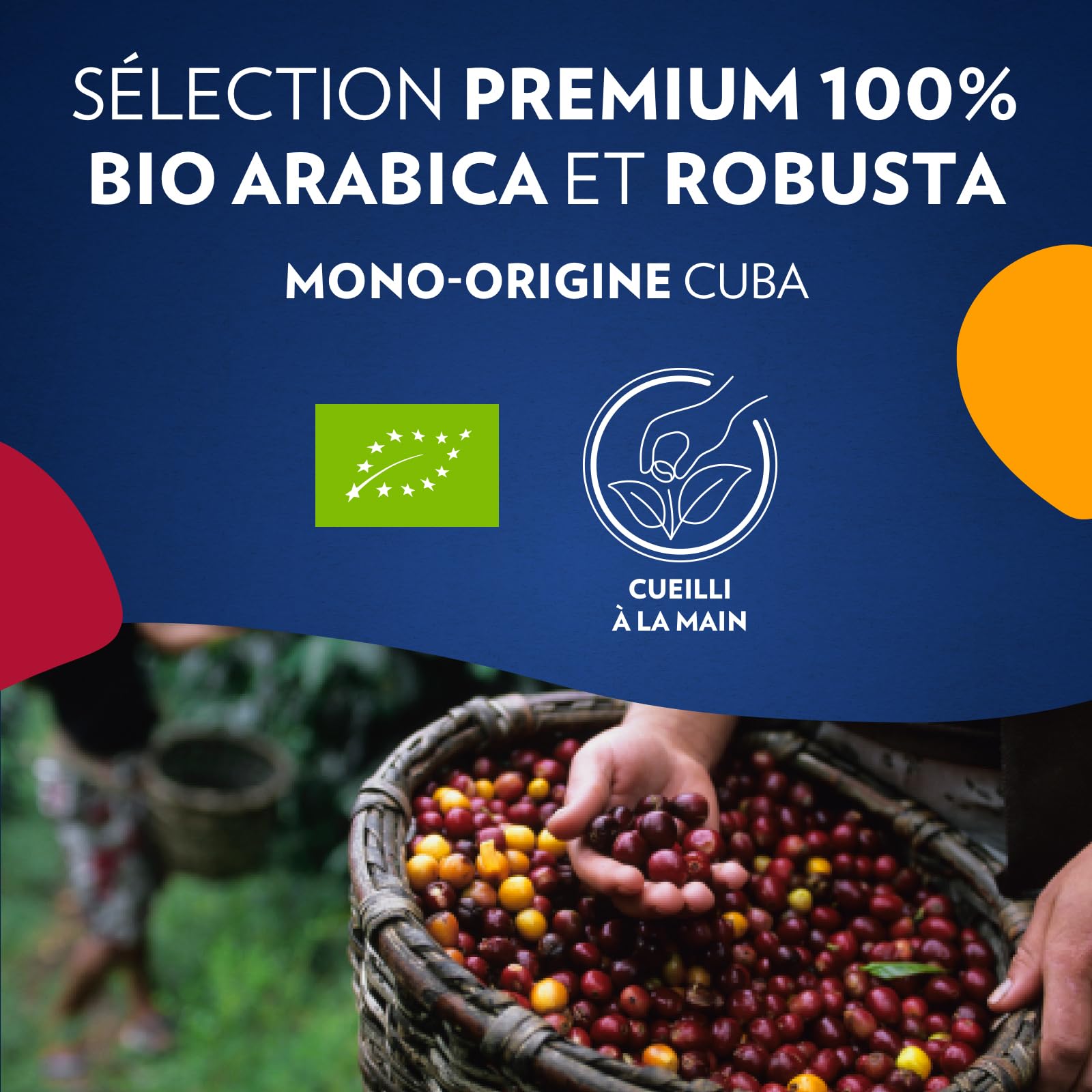 Lavazza Voix de la Terre for Planet et Cuba, Café en Grains Premium Biologique, 4 x 500g, Idéal pour les Machines à Café Automatiques