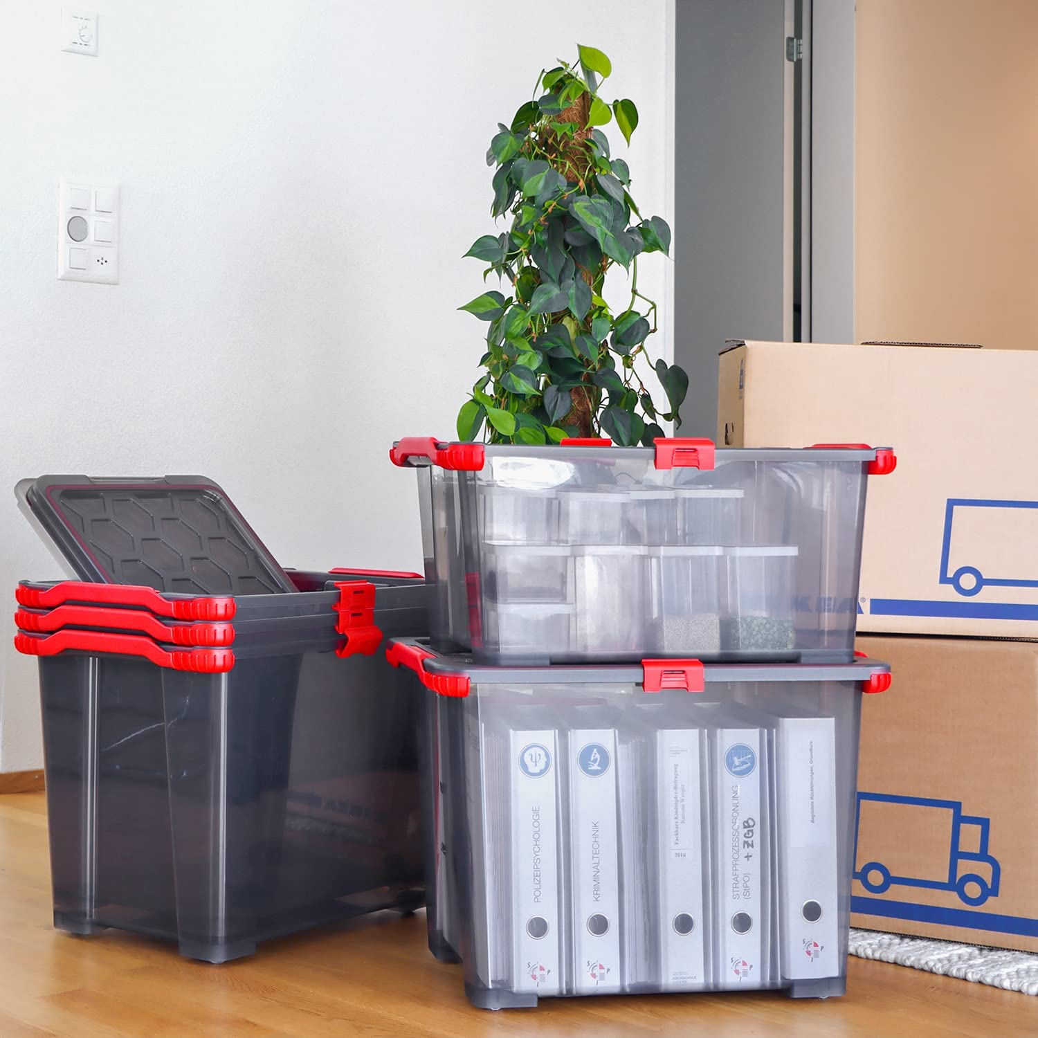 Rotho Evo Aufbewahrungsbox mit Deckel 30 L 3er-Set aus PP Anthrazit/Rot | Aufbewahrungsboxen im 3er-Set, je 30 L Volumen, Deckel in Rot, Boxen aus lebensmittelechtem PP, Anthrazit, für Lebensmittel
