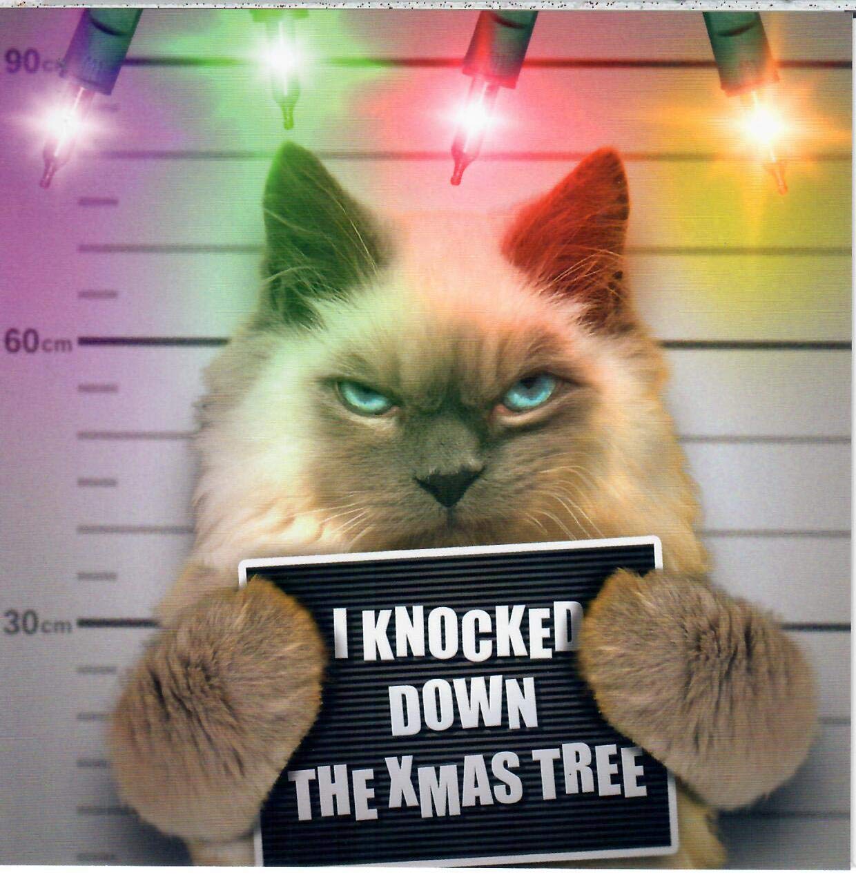 Mugshot Christmas Card