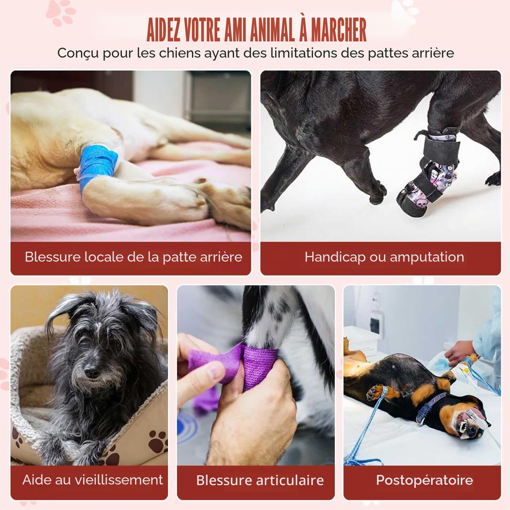 SlowTon Hind Leg Support Harness Sling pour Chiens de Taille Moyenne - Harnais de Levage de Chien réglable Confortable pour Les Personnes âgées blessées arthritiques handicapées (Rouge, XL)