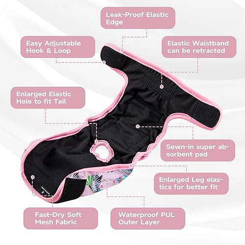 Miniatura 4 de Paw Legend - Pañales lavables y reutilizables para perras en celo (3 unidades, XS)