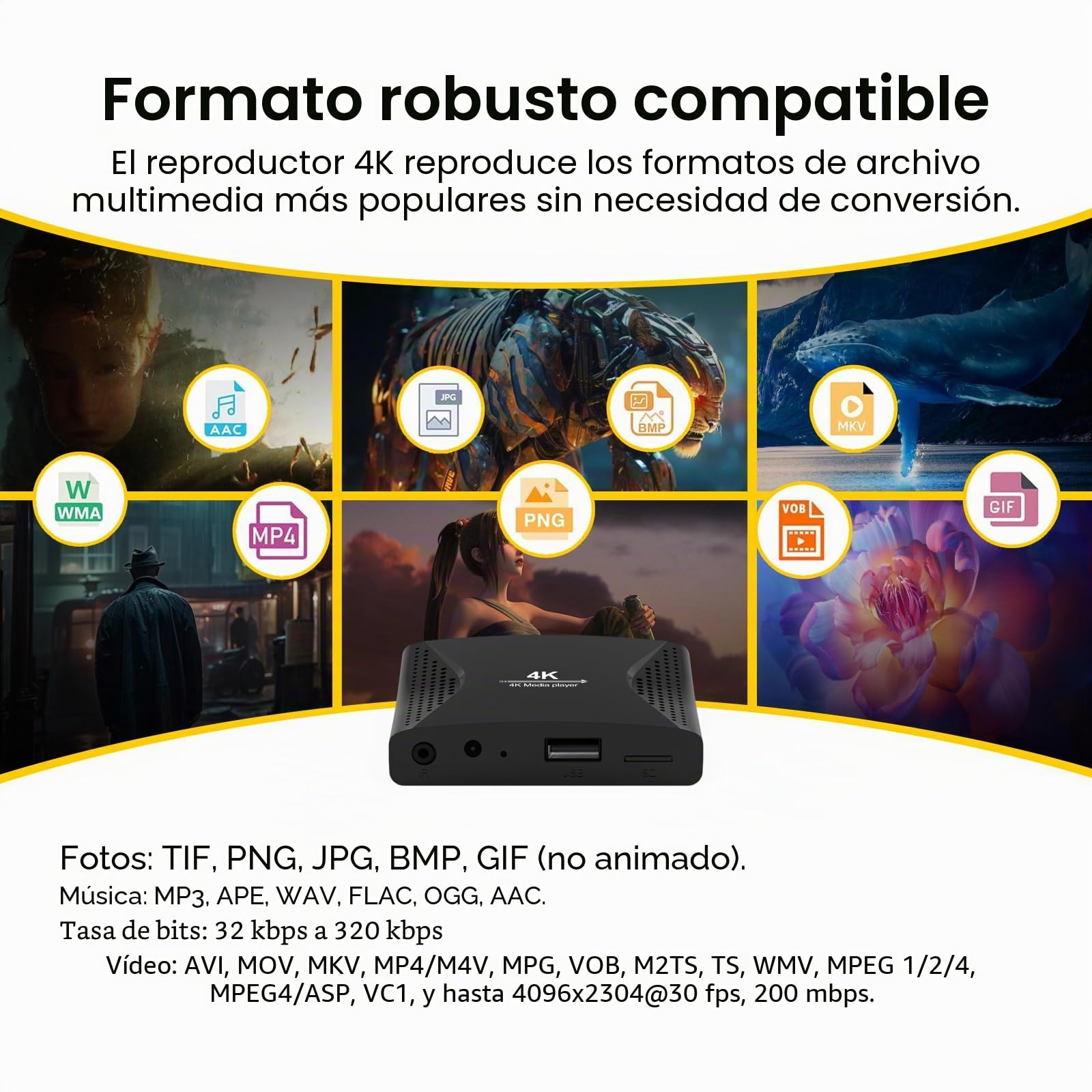 ZUMKUNM Reproductor Multimedia Digital 4K UHD y 1080P para Tarjetas USB y microSD señalización Digital H.265 H.264 MP4 MKV Video MP3 Music JPG Photo 4K HDMI analógico AV Coche Localización y Espacio