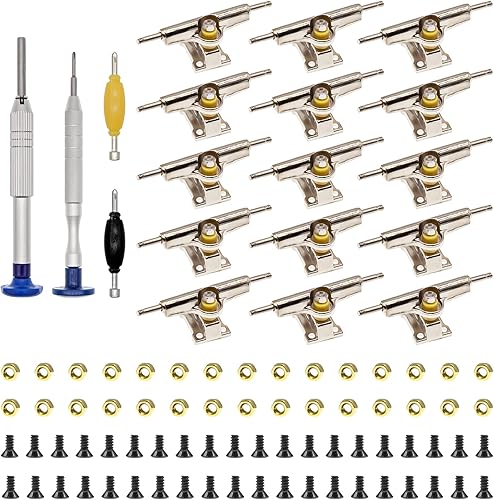 SIXPOINTS Kit de 109 piezas de fabricación de diapasones para diapasones  Camiones de 0.591 x 1.181 in, 60 tornillos, 30 tuercas, 2 llaves inglesas,