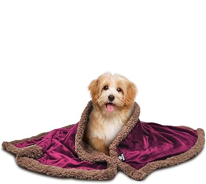 amazon pet blanket