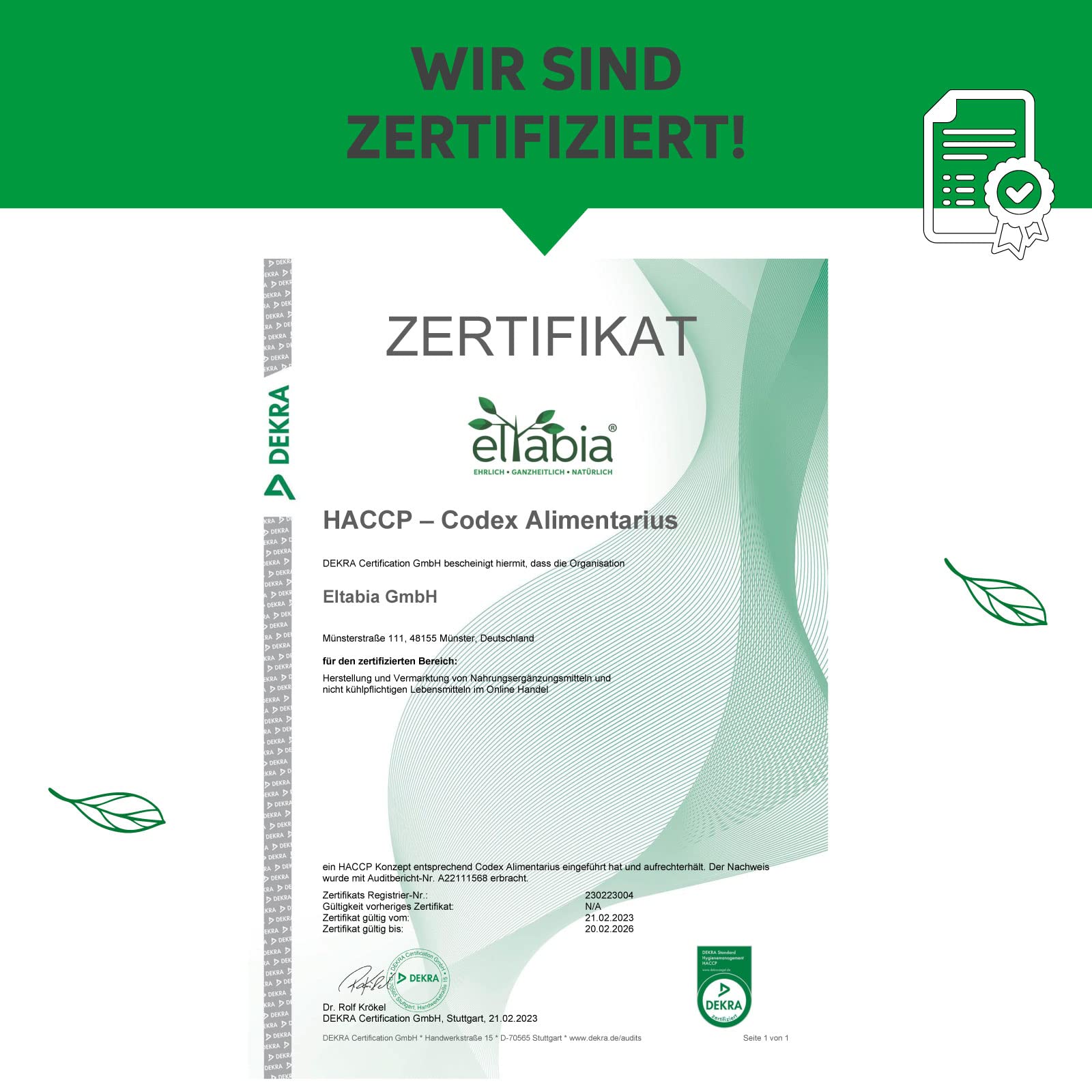 Bio Chlorella Pulver 1kg | Premium Rohkost-Qualität | 100% reines Algen-Pulver ohne Zusätze | Zellwand gebrochen Vegan