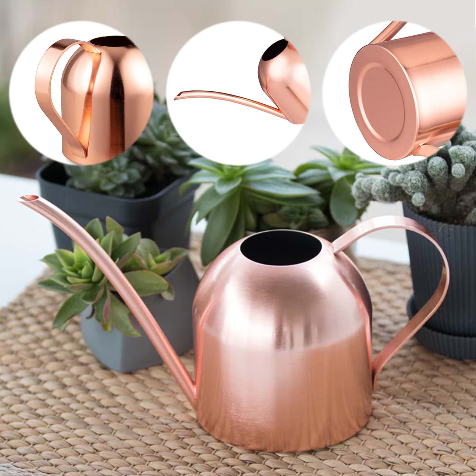 Bonsai Giekanne fr Innen und Auenbereich,Giekanne aus Edelstahl mit  Komfortgriff,Lange ffnung,1000ml,Moderne Mini-Metall-Giekanne fr  Hauspflanzen (Rose Gold): Amazon.de: Garten
