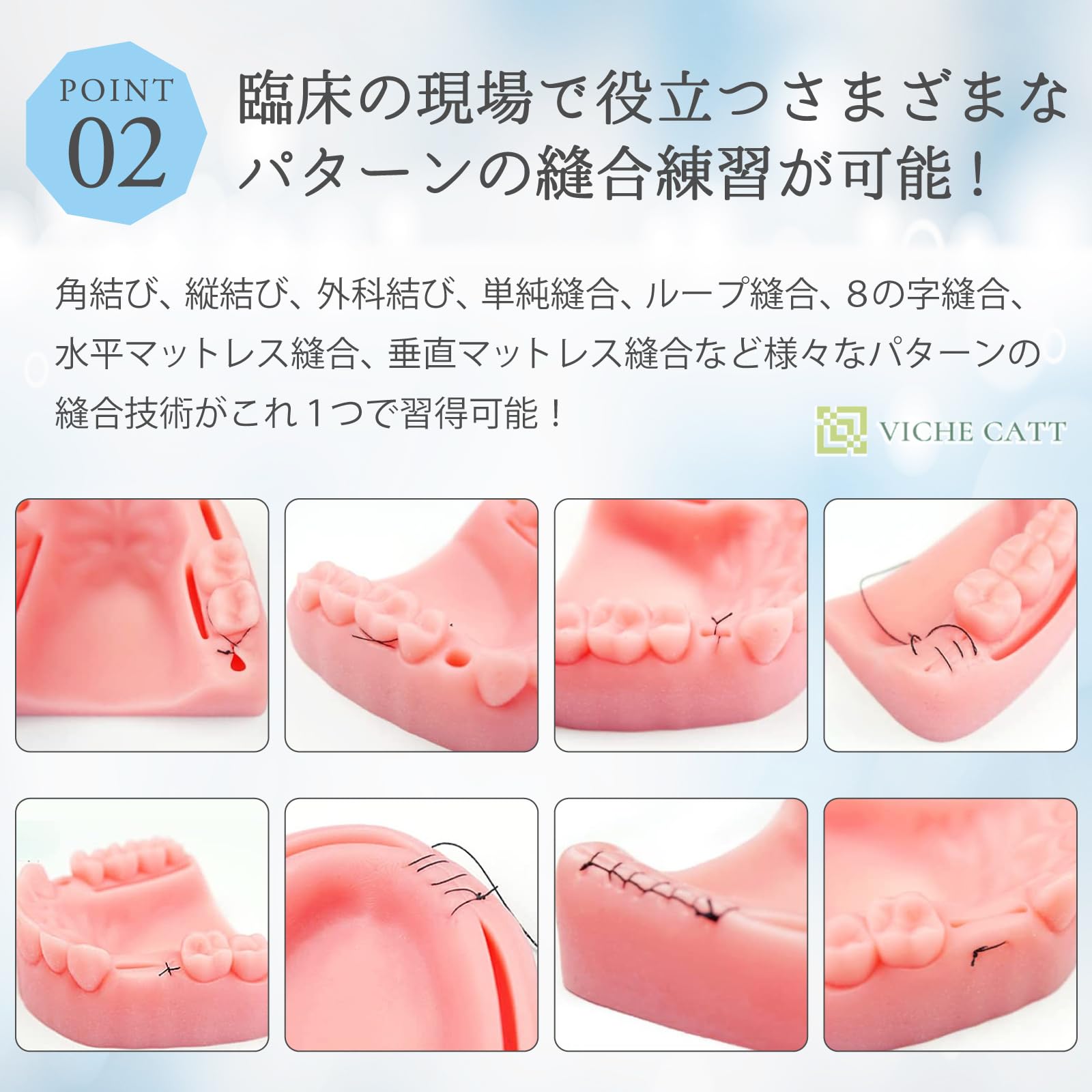 Amazon.co.jp: VICHE CATT 歯科縫合練習キット 縫合練習キット 歯 模型