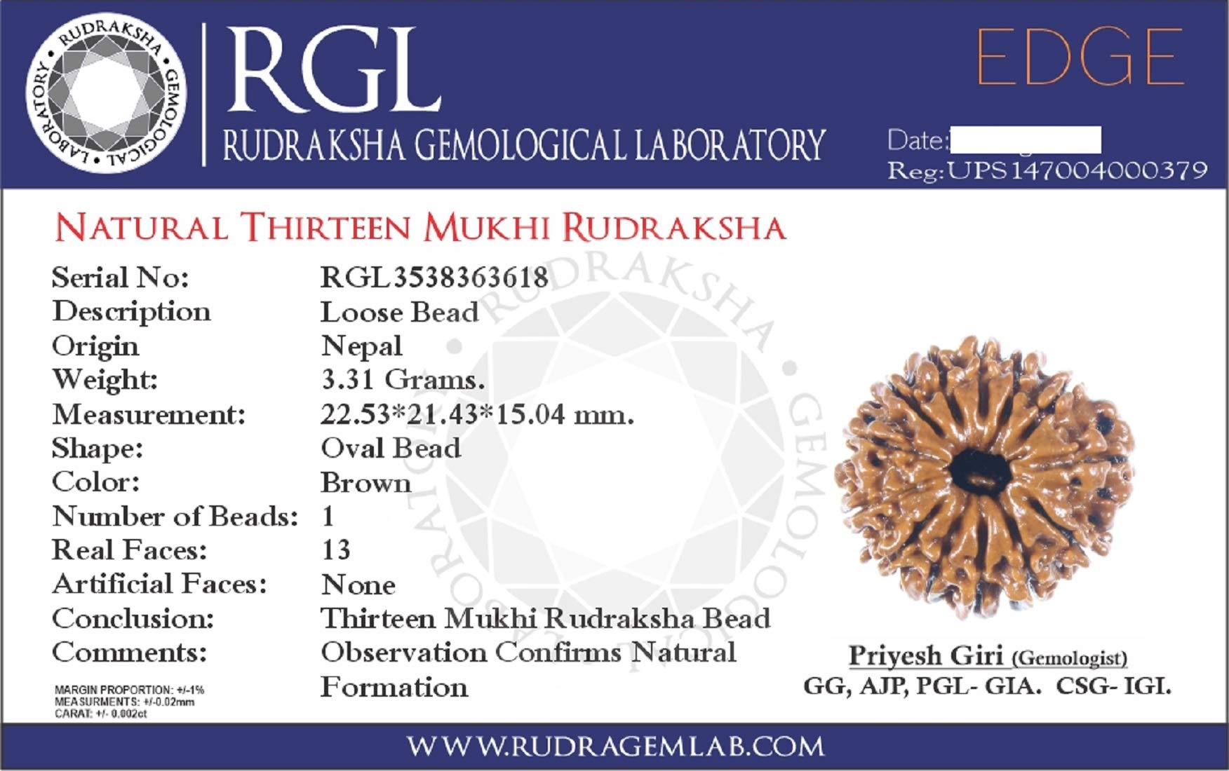 SHIVOHAM 13 Mukhi Guru Mani/Perlen (5 Mukhi Rudraksha Mala 108 + 1 Perlen) Silberkappe – Labor zertifiziert