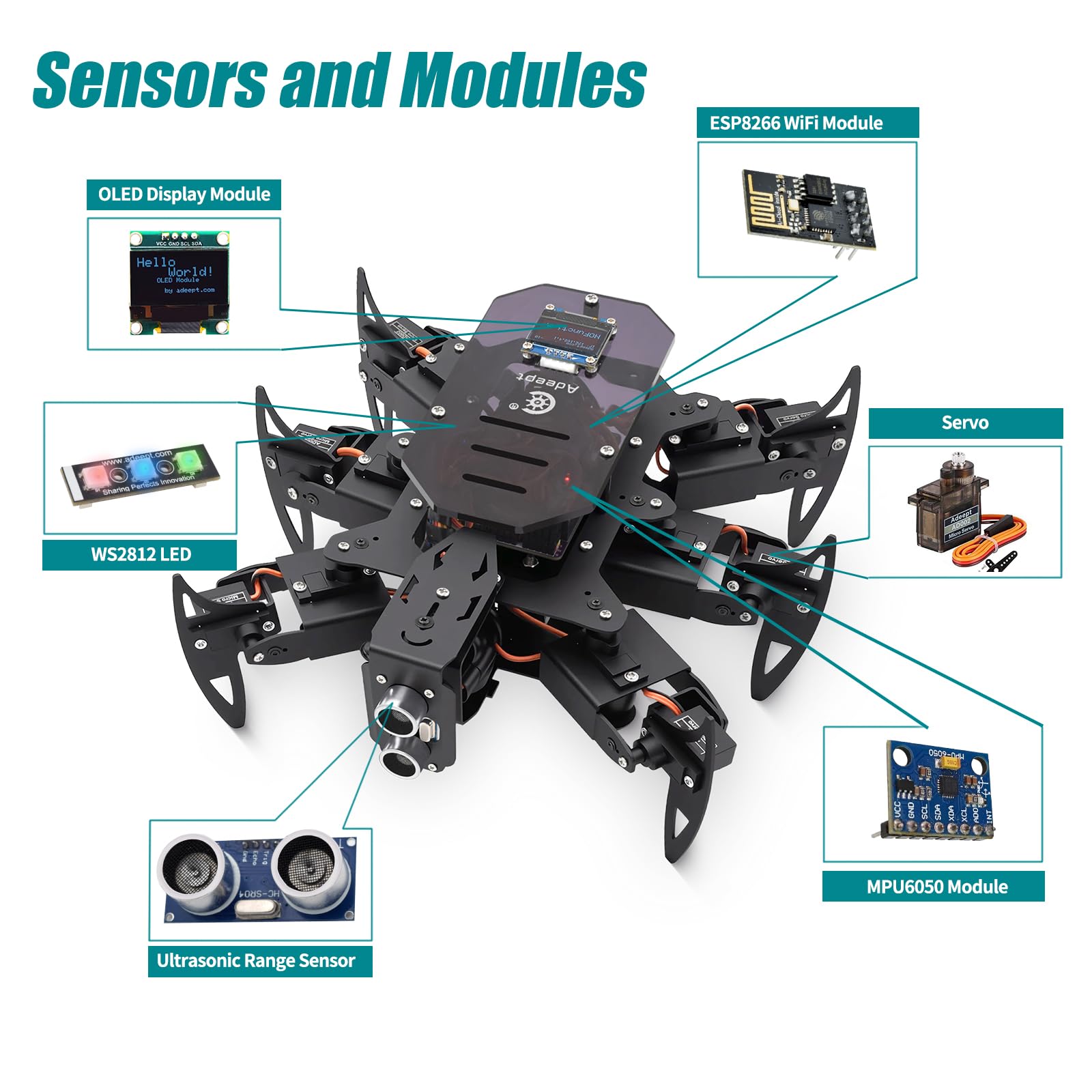 Adeept Hexapod Spider Robot Kit Compatible with Arduino, Spider Walking Crawling Robot, Programming Project STEAM Robotics Kit with OLED Display and Metal Body, PDF Manual