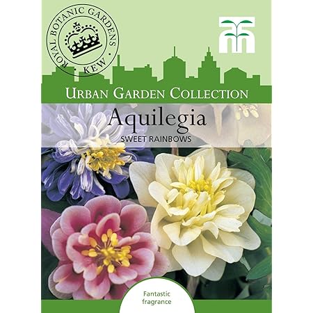 Amazon 輸入種子 Thompson Morgan Urban Garden Collection Aquilegia Sweet Rainbows アーバン ガーデン コレクション アキレギア スウィート レインボー トンプソン モーガン 花