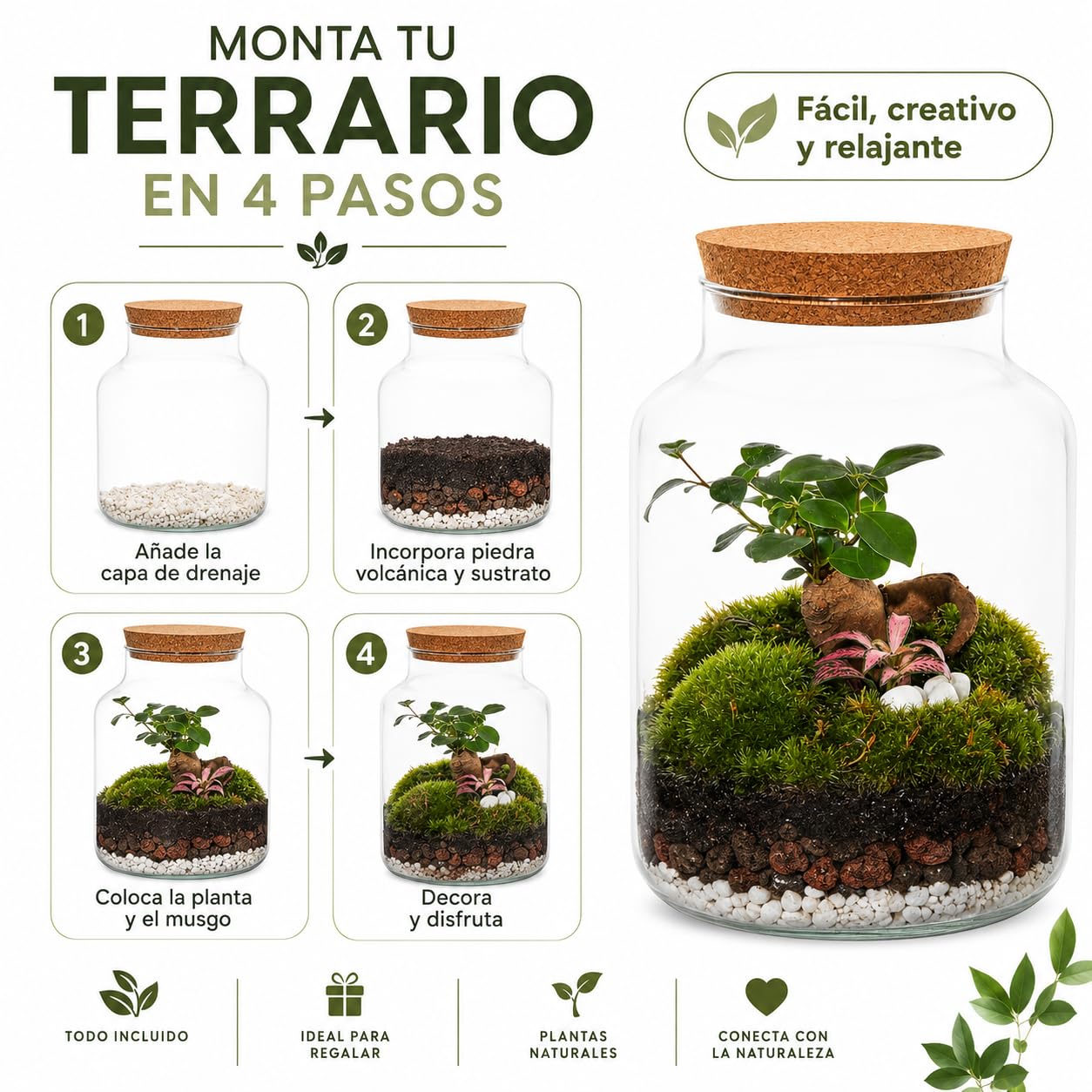 Kit Terrario Plantas DIY sin Plantas Naturales - Botella de Vidrio con Tapa de Corcho, Sustrato Natural, Piedras Blancas y Piedras Volcánicas - Jardín en Botella Decorativo para Interior
