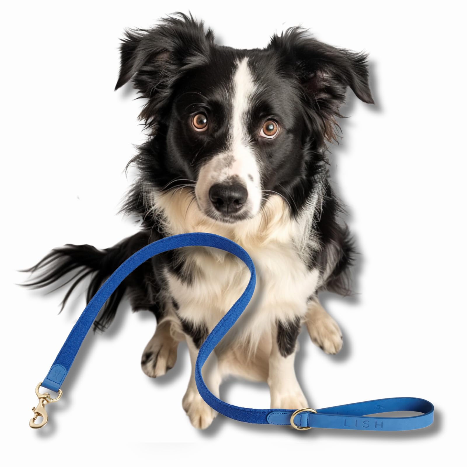 Tweed & Blue Leather Dog Lead, Medium Dogs & Puppies, Handcrafted in UK, Vegetable-Dyed Italian Leather and Genuine Harris Tweed Luxury Designer Pet Leash (Medium)