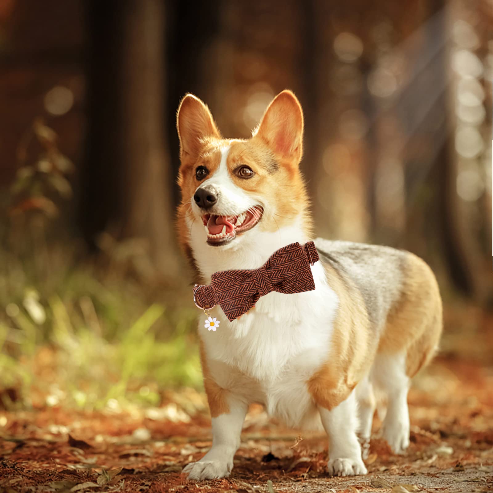 TDTOK Halloween Hundehalsband – Weich, Verstellbar, Mit Süßer Schleife