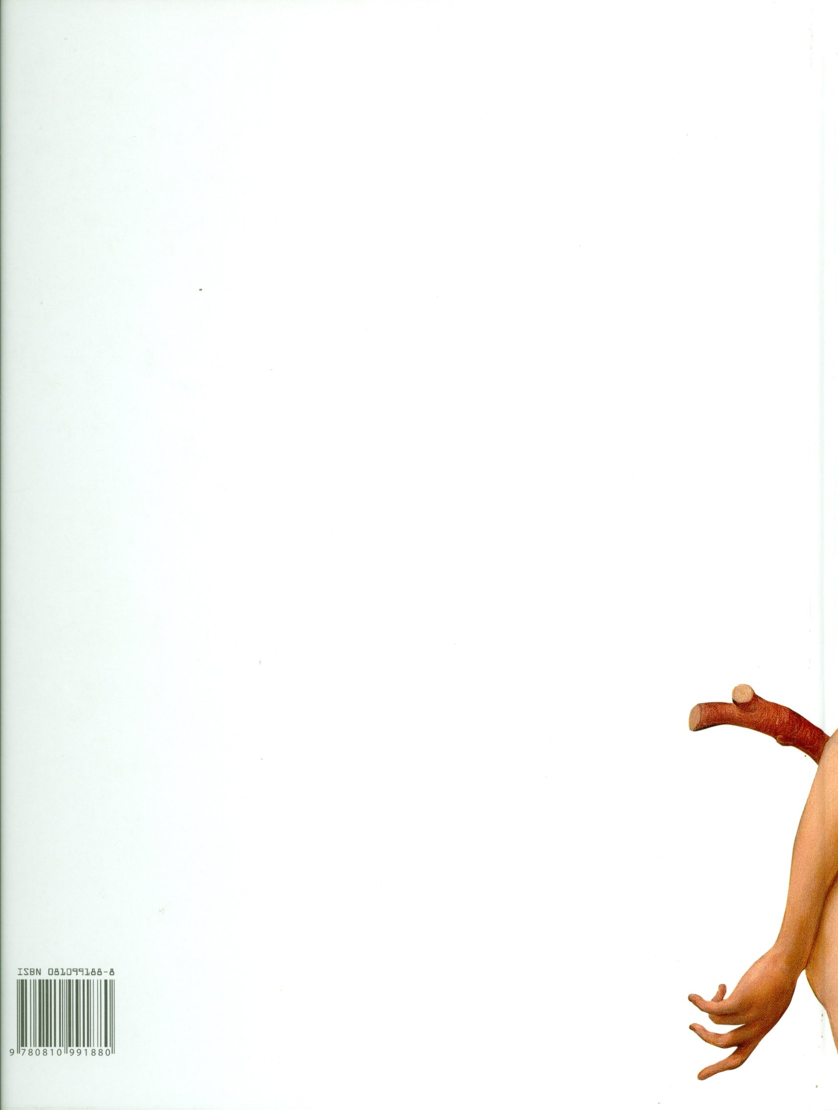 Amazon.co.jp: John Currin: 本、バイオグラフィー、最新アップデート