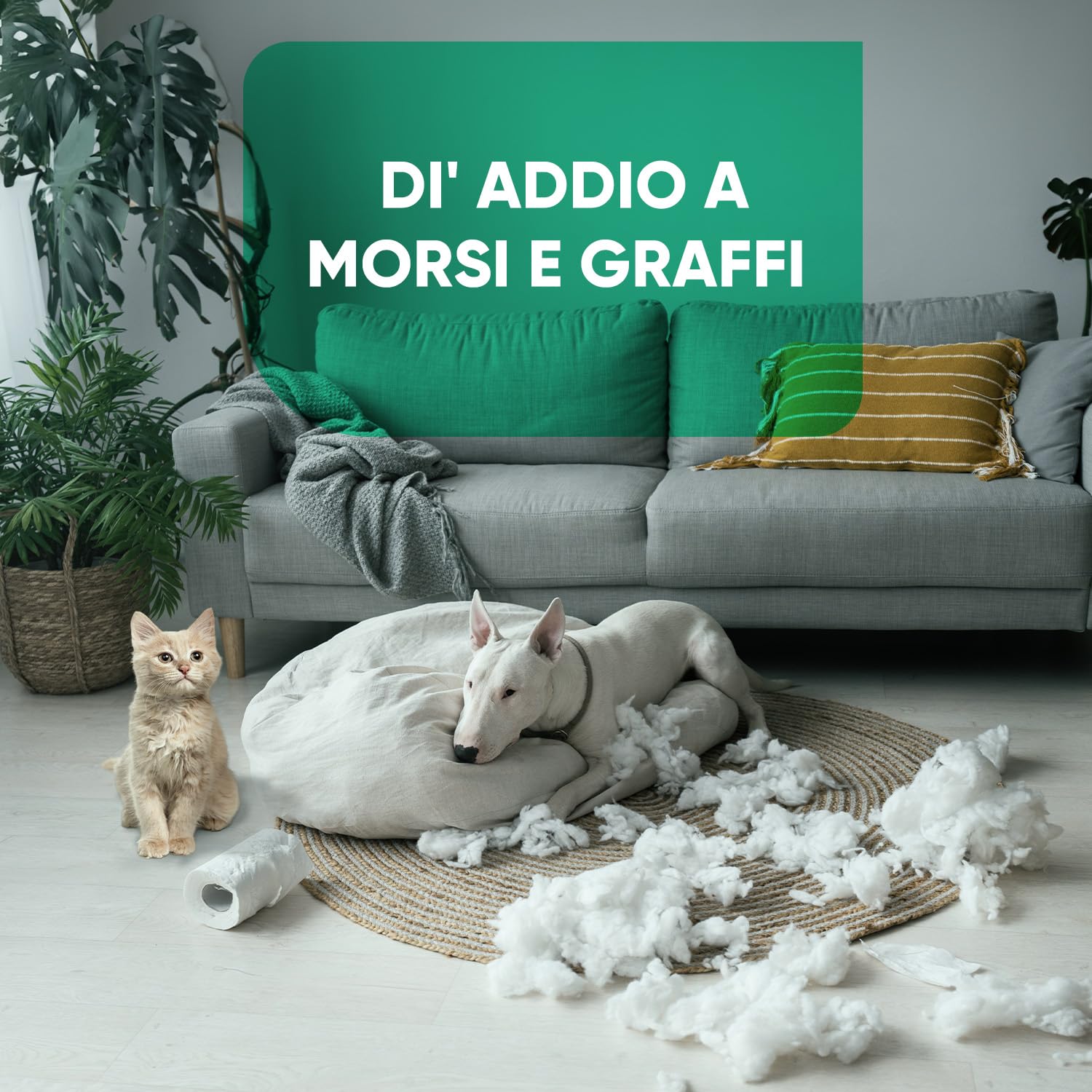 Spray Repellente per Gatti e Cani 250ml, Sapore Amaro, Dissuasore per Gatti e Cani, Spray Anti Graffi Gatto e Cane con Ingredienti Naturali, Disabituante Gatti, Spray Repellente Per Cani Senza Alcool