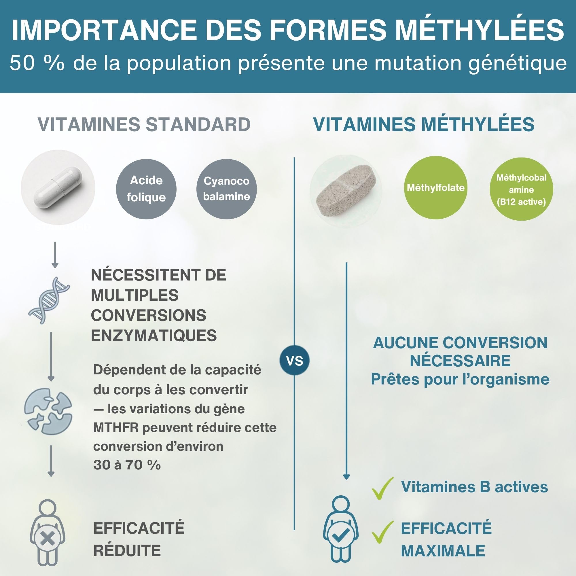 Multivitamines et Minéraux pour Femmes, Vitamines Méthylées & Bioactives, avec Fer Bisglycinate 14 mg, Libération Lente, Clean Label & 100% Vegan, 180 comprimés – par Igennus
