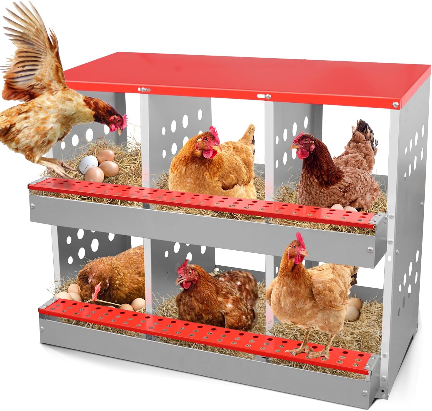 6-Compartment Galvanized Steel Chicken Nesting Box, Automatic Roll-Away Egg Collection, Rust-Proof & Durable Nest Box for Hens, Easy to Install in Coops