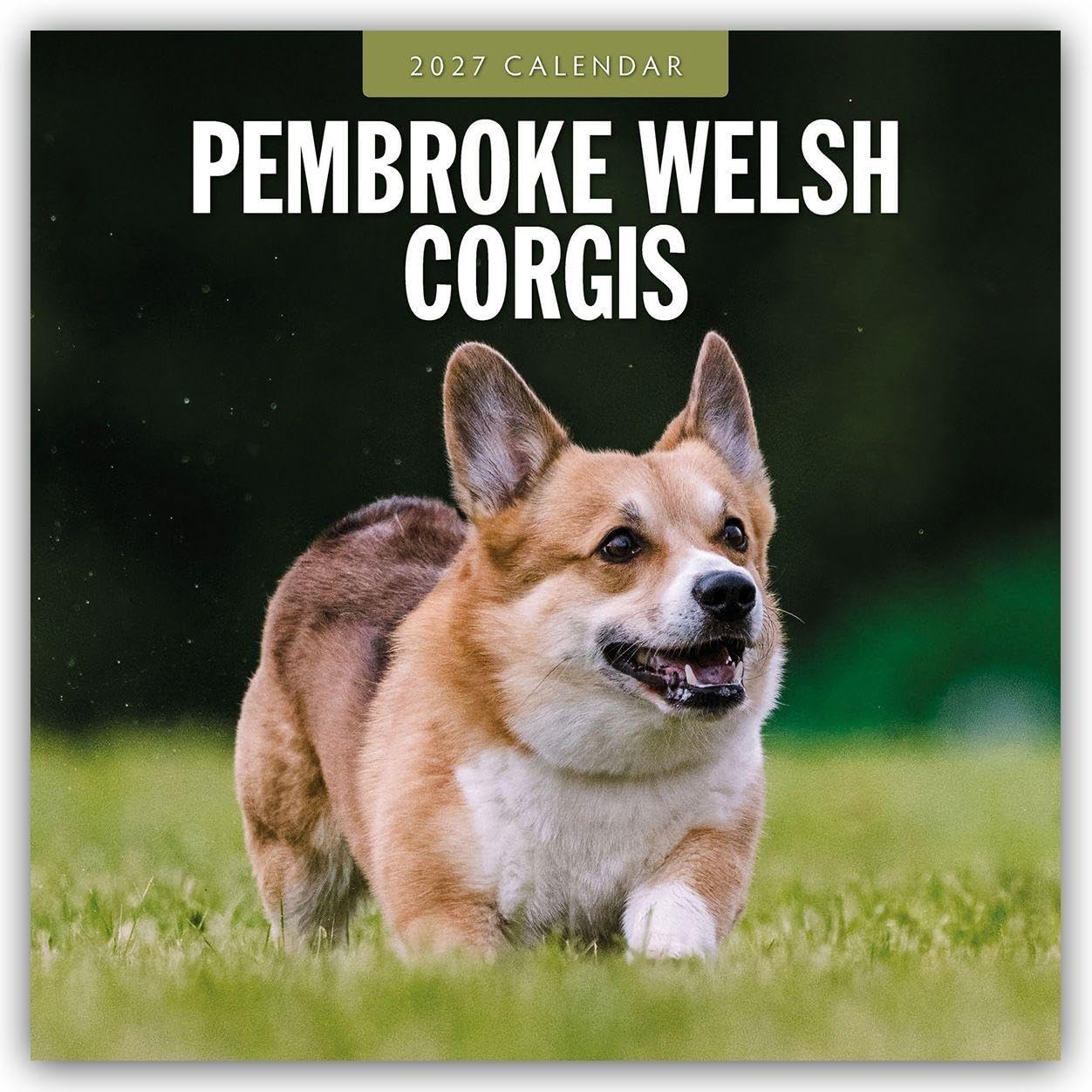Pembroke Welsh Corgis – Pembroke Welsh Corgi 2027 – 16-Monatskalender: Original Red Robin Publishing Ltd-Kalender [Mehrsprachig] [Kalender] (Wall-Kalender)