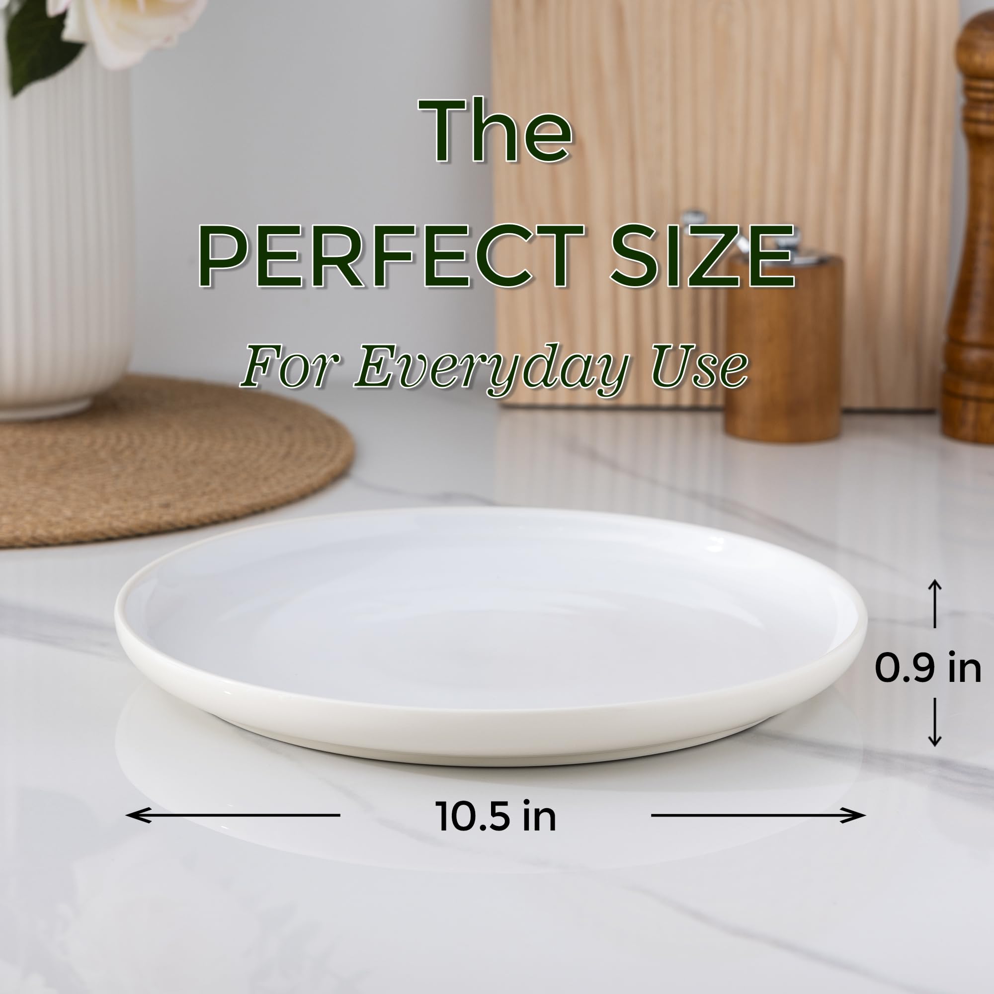 GBHOME Juego de 6 platos de cerámica redondos de porcelana de 10.5 pulgadas para almuerzo, fiesta, boda, restaurante, resistente a los arañazos, apto para microondas y horno y lavavajillas, juego de 6