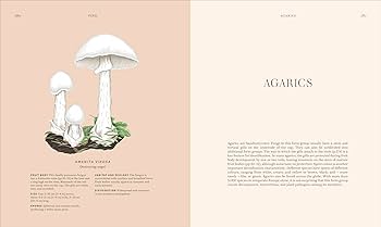 洋書　きのこ図鑑　コリンズ菌類ガイド　COLLINS FUNGI GUIDE Common Mushrooms of the Pacific Northwest (Foldingguides(tm