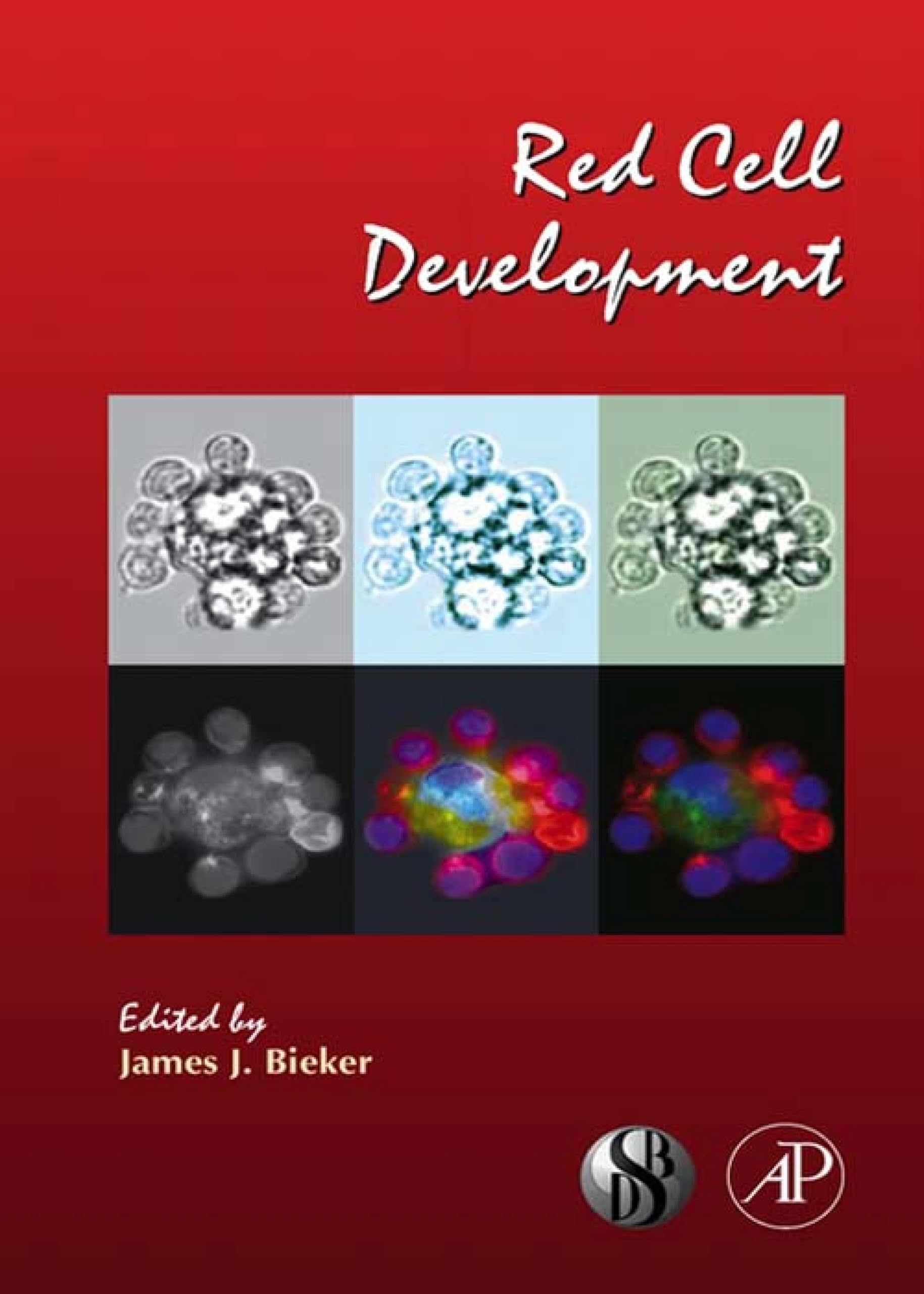 Red Cell Development (Current Topics in Developmental Biology Book 82)
