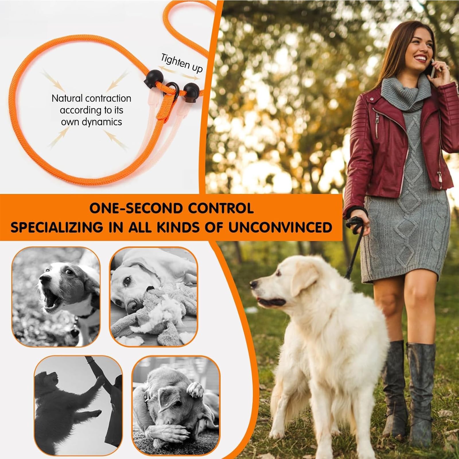 Addein Dog Slip Lead, Nylon Dog Rope Leash & Collar, Anti-Choking Training Rope for Outdoor Puppy Small Medium Large Dogs - Image 4