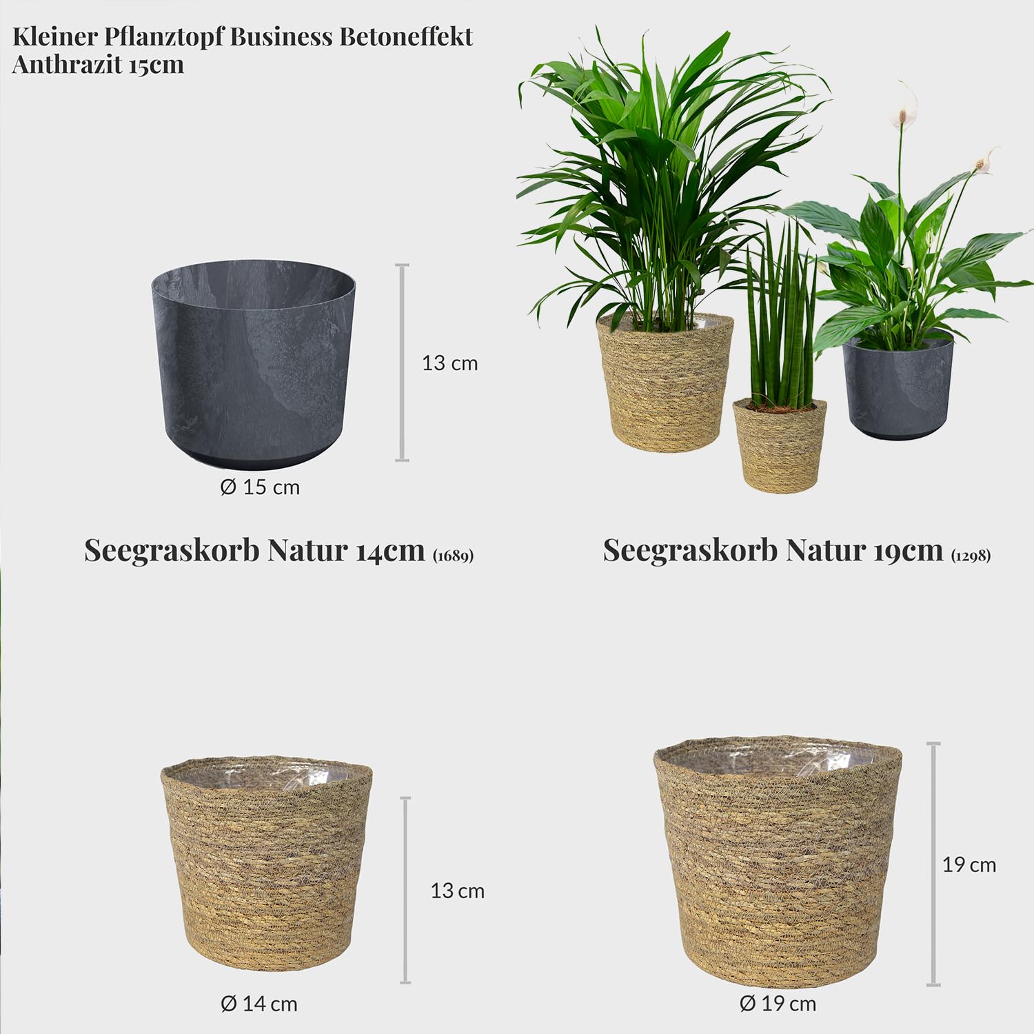 Zimmerpflanzen 3er Box Fresh Air Brothers | Goldfruchtpalme, Einblatt, Sansevieria | Luftreinigende Pflanzen mit Übertöpfen frisch aus der Gärtnerei | Pflegeleicht & dekorativ | Green Me Up