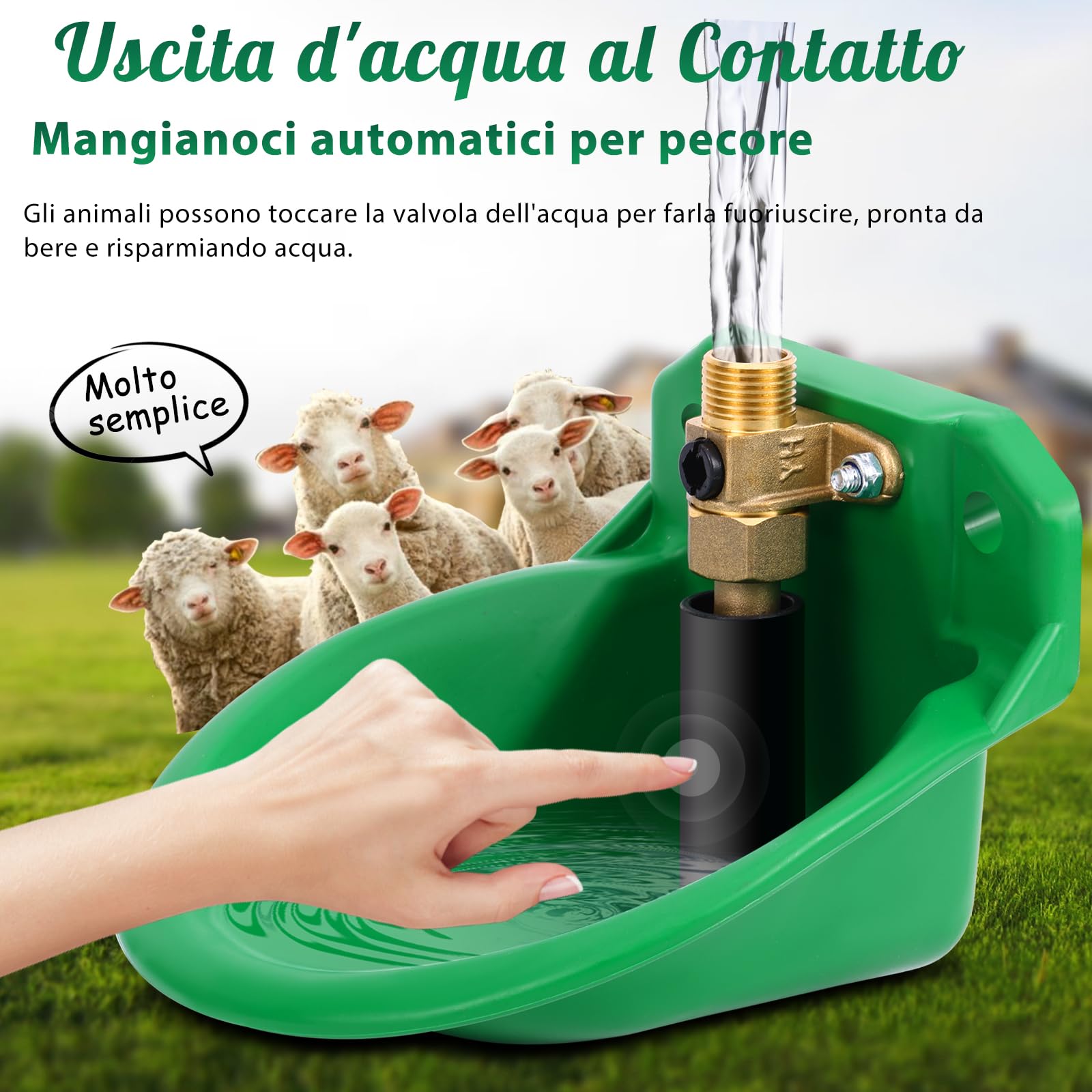 Piscina automatica per pecore, bevitori da bestiame con fori di scarico, approvvigionamento idrico automatico per cavalli, bovini, pecore, suini e cani, beve di salice, verde