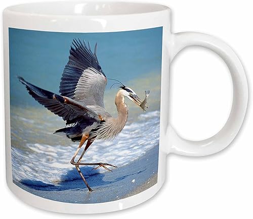 3dRose Florida, Captiva Island Blue Heron Bird-Us10 Bja0183-Jaynes Gallery - Taza de cerámica, 11 onzas, color blanco