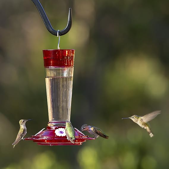 More Birds 35IN More Birds Ruby Hummingbird Feeder, Glass Bottle, 5 Feeding Ports, 10-Ounce Nectar Capacity,Ruby Red