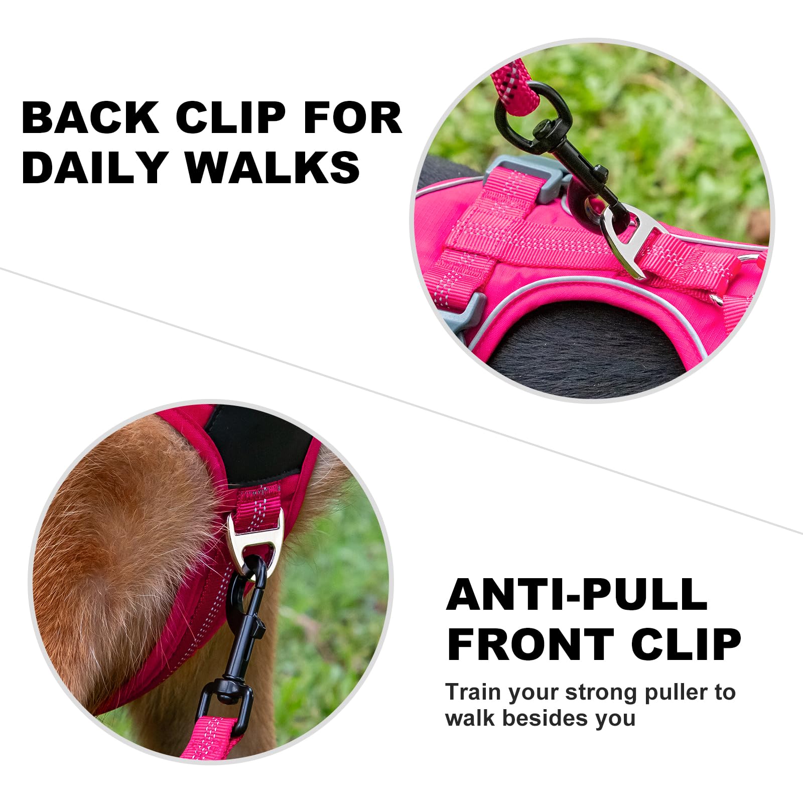 Plutus Pet No Pull Dog Harness, Release at Neck, Soft Padded, Reflective Adjustable Dog Vest Harness for Small Medium - Image 3