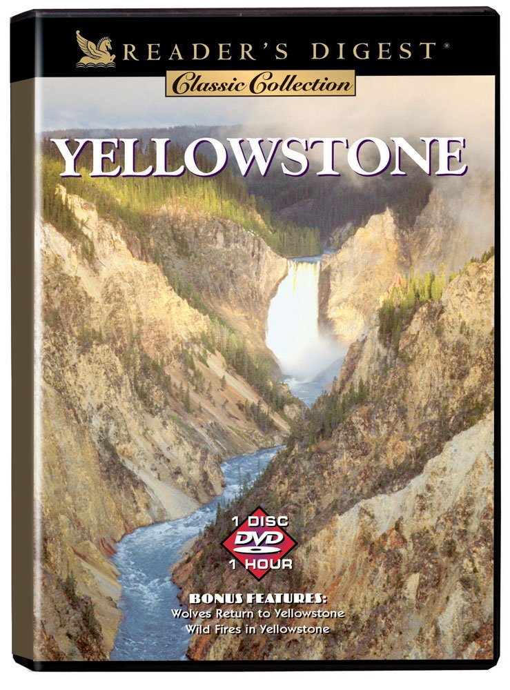 Yellowstone DVD importación Reino Unido serie de televisión en formato físico y discos de región 2