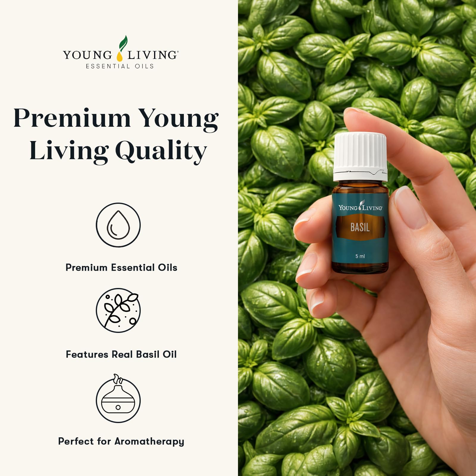 Amazon.com: Young Living Basil Essential Oil | 15 ml | Fresh