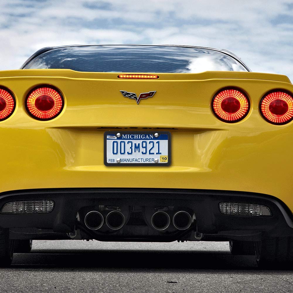 Deselen Black License Plate Frame, Metal Thin Stainless Steel with 2 Holes Screw Cap, 2 Pack (Black)