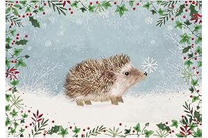 Happy Hedgehog Christmas Card