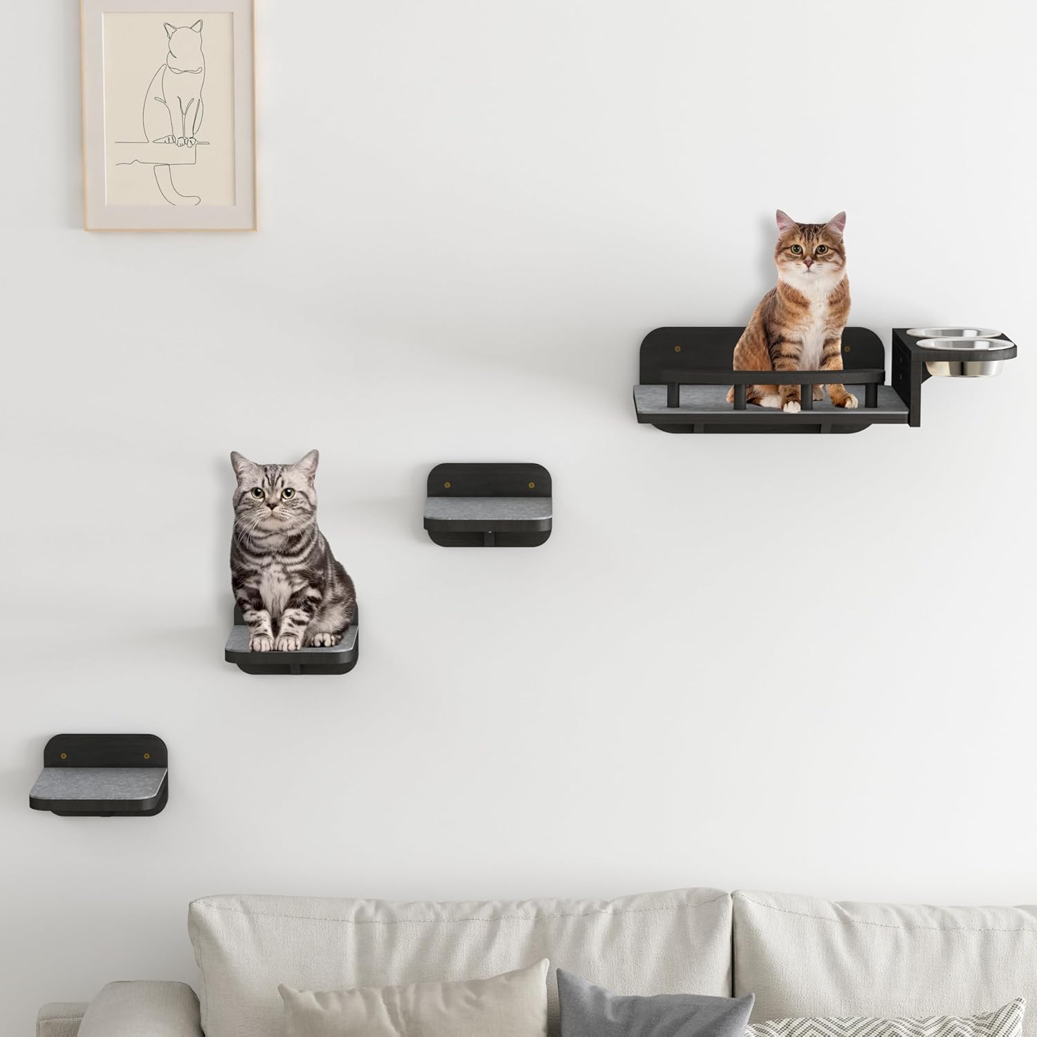 Meidok Cat Wall Furniture,Cat Wall Shelves,Dog Proof Cat