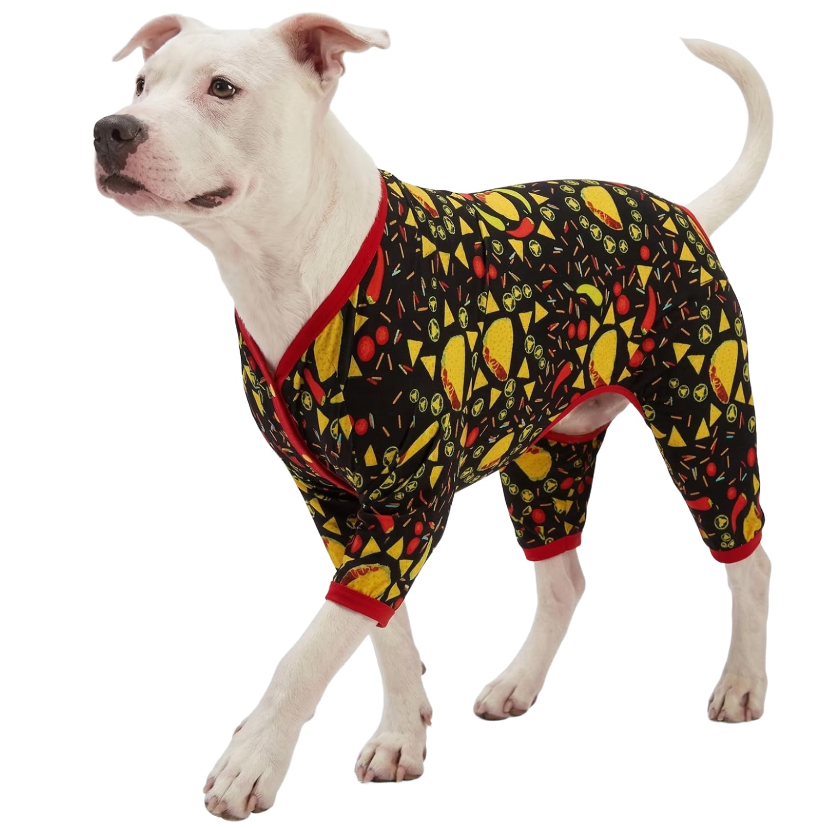 Pyjama géant pour chiens post-chirurgie grand Pitbull 3XL