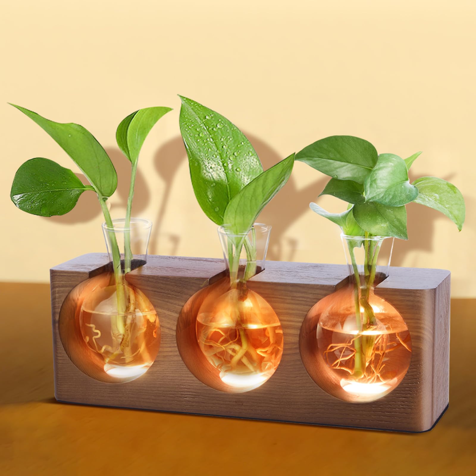 Station de propagation de plantes avec support en bois, terrarium avec 4 modes d'éclairage LED réglables à 9 niveaux, 3 vases de propagation en verre pour culture hydroponique, tubes de propagation