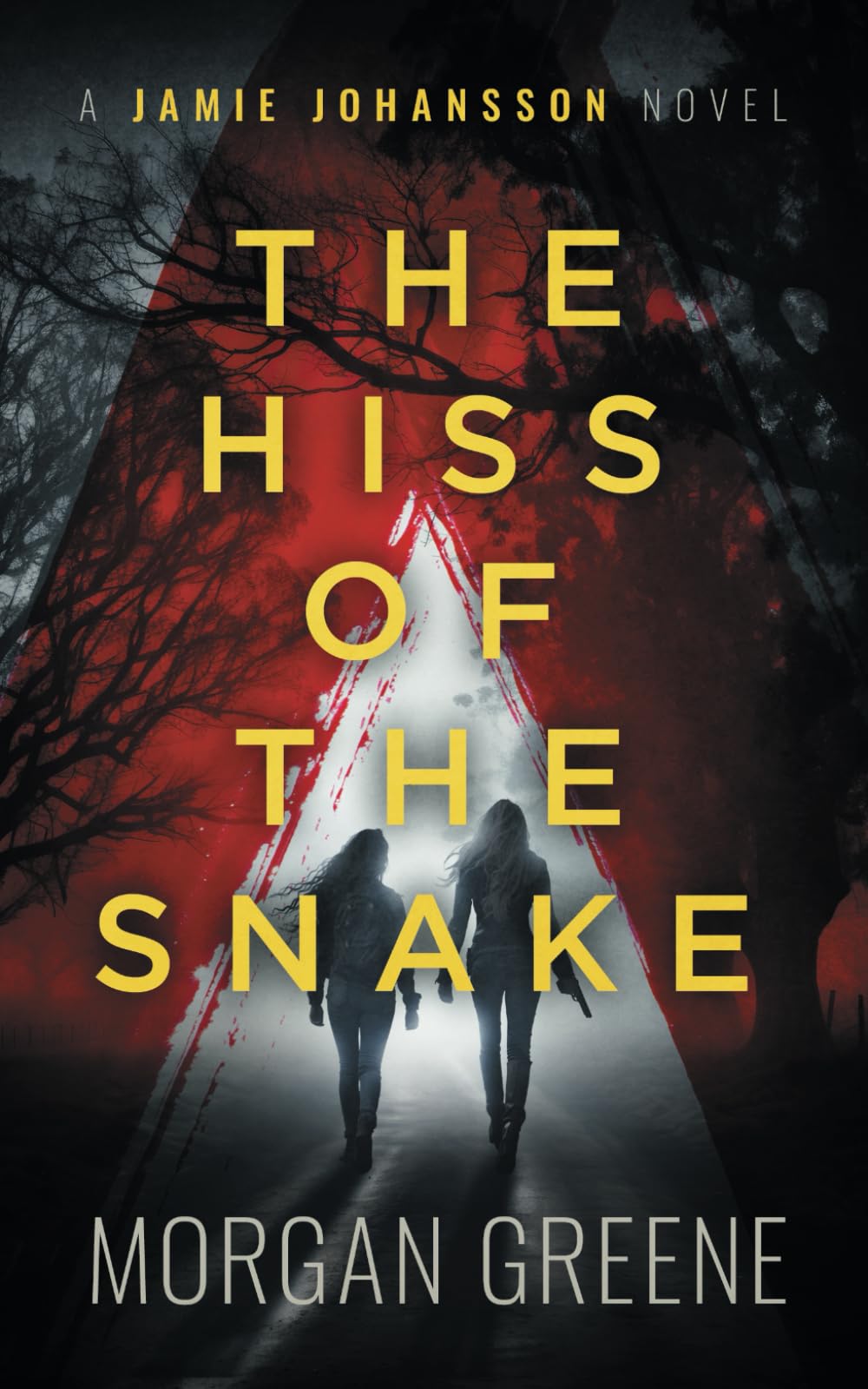 The Hiss Of The Snake: A harrowing crime thriller set in the heart of Wales (DI Jamie Johansson)