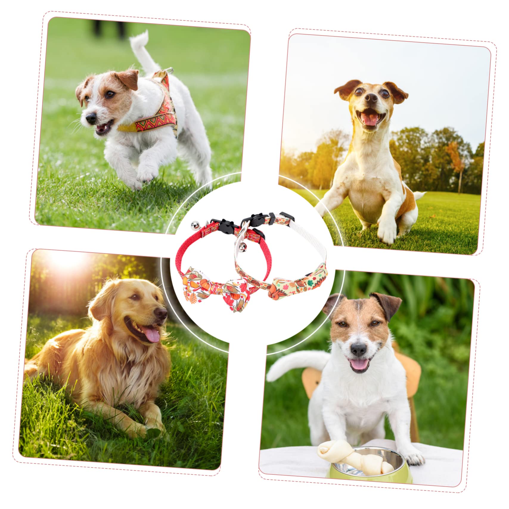 minkissy 10pièces Colliers Ajustables pour Animaux avec Nœud De Accessoires De Mode pour Et Chiens Thème Thanksgiving