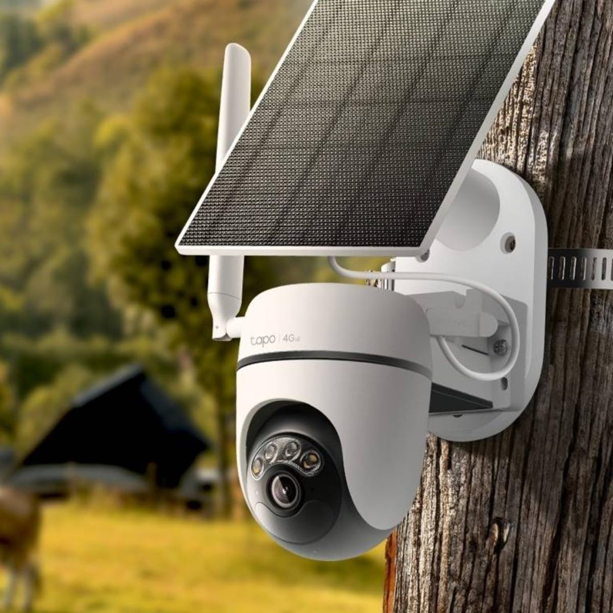 TP-Link Fotocamera di sicurezza con pannello solare IP Tapo C615G LTE 4G Dome 3MP 2.8mm Esterno IP65