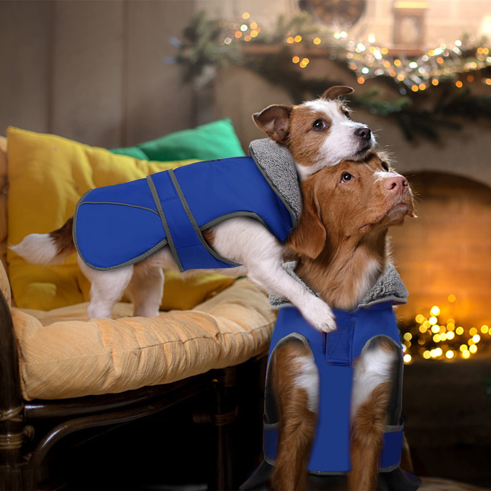 Amazon | Tinsin 犬 服 防寒着 ペット 服 犬 コート 犬 ジャケット