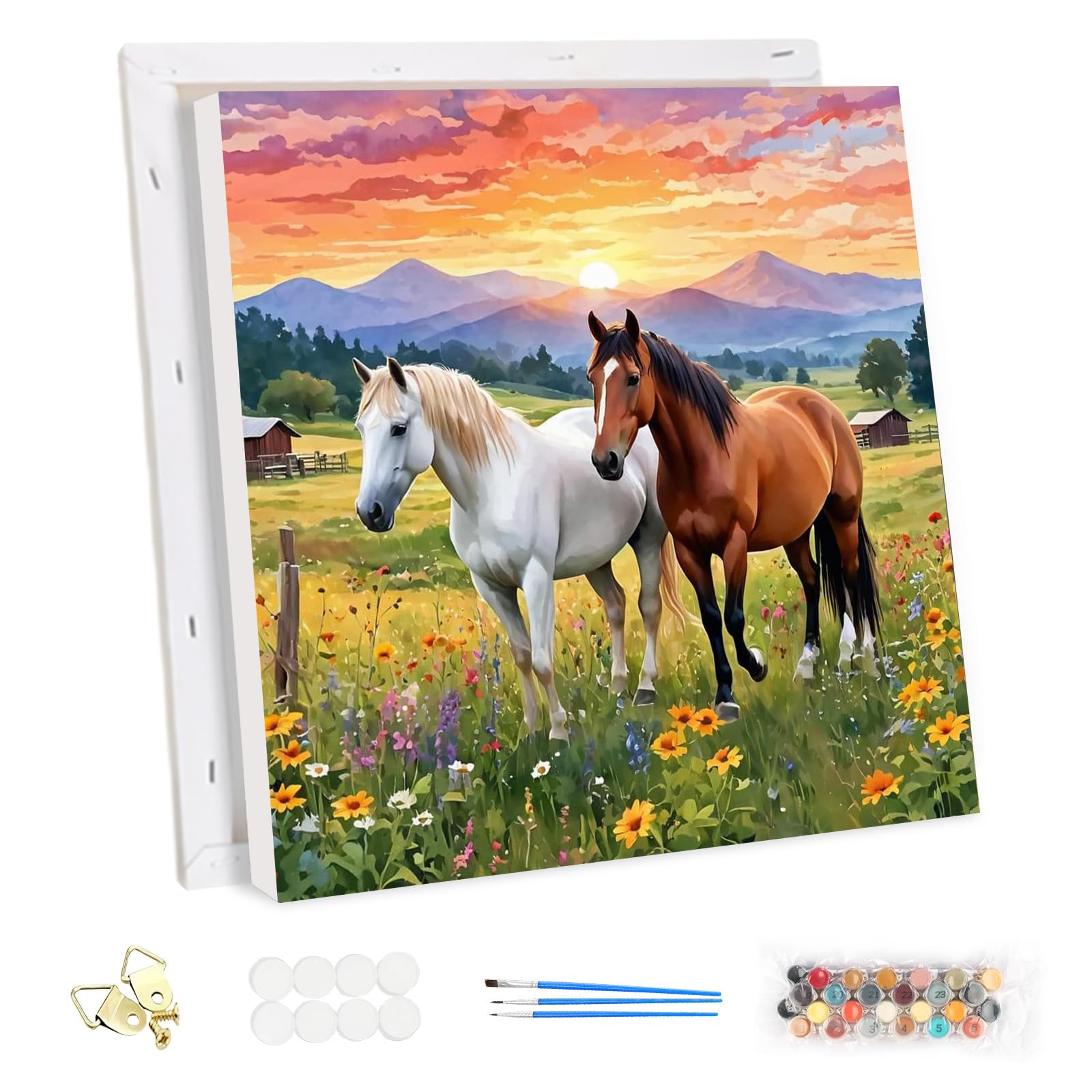 MEIYUDA Pintar por Numeros Adultos con Marco Caballos, DIY Pintura por Numeros Kit Manualidades Adultos Pradera, Cuadros por Numeros Pigmento Acrílico, Decoración para el Hogar Regalo de pared 30x30cm