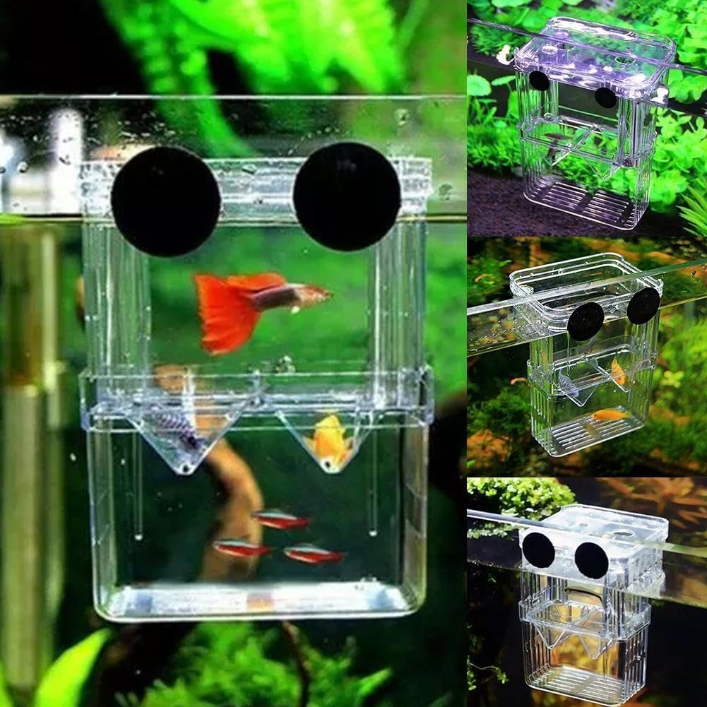 Aquarium Breeding Box for Fish Tank Aquarium Hatchery Incubator Tank with Suction Cups - Image 4